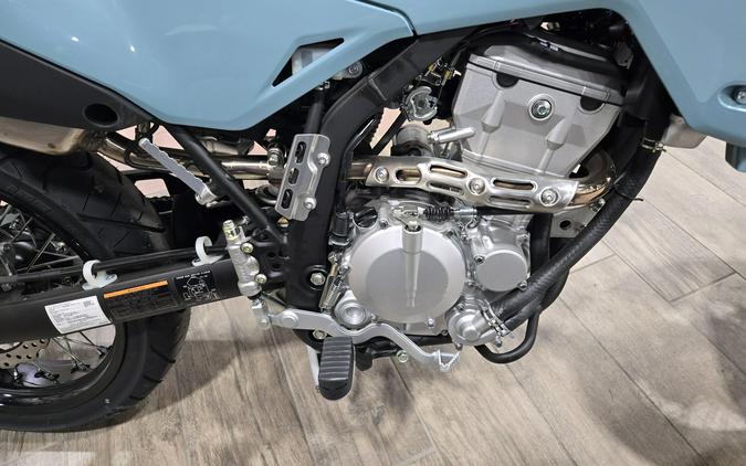 2025 KAWASAKI KLX300SM