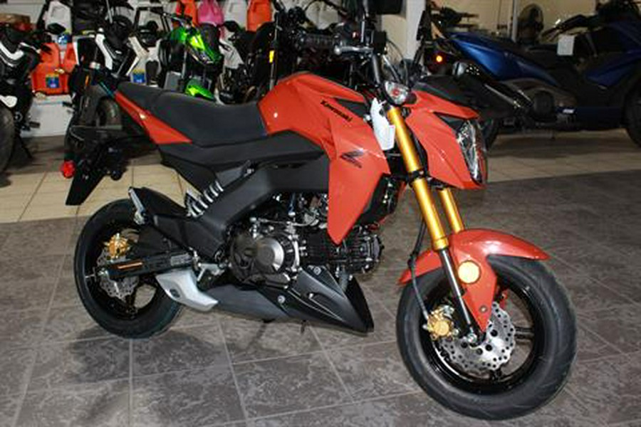 2025 Kawasaki Z125 Pro
