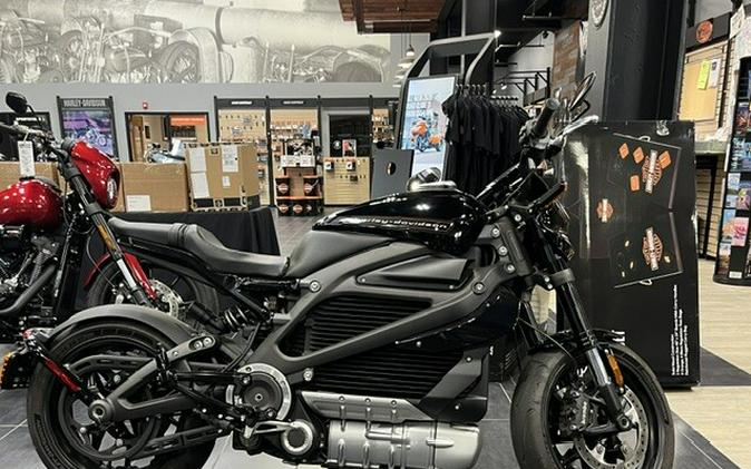 2020 Harley-Davidson® LiveWire™
