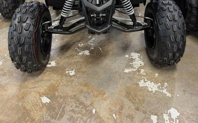 2026 Yamaha Raptor 110