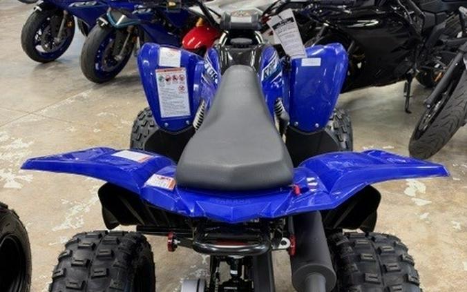 2026 Yamaha Raptor 110