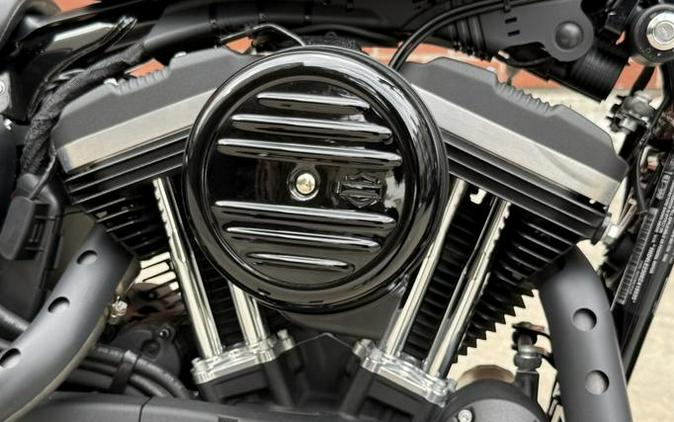 2019 Harley-Davidson® XL 883N - Sportster® Iron 883™