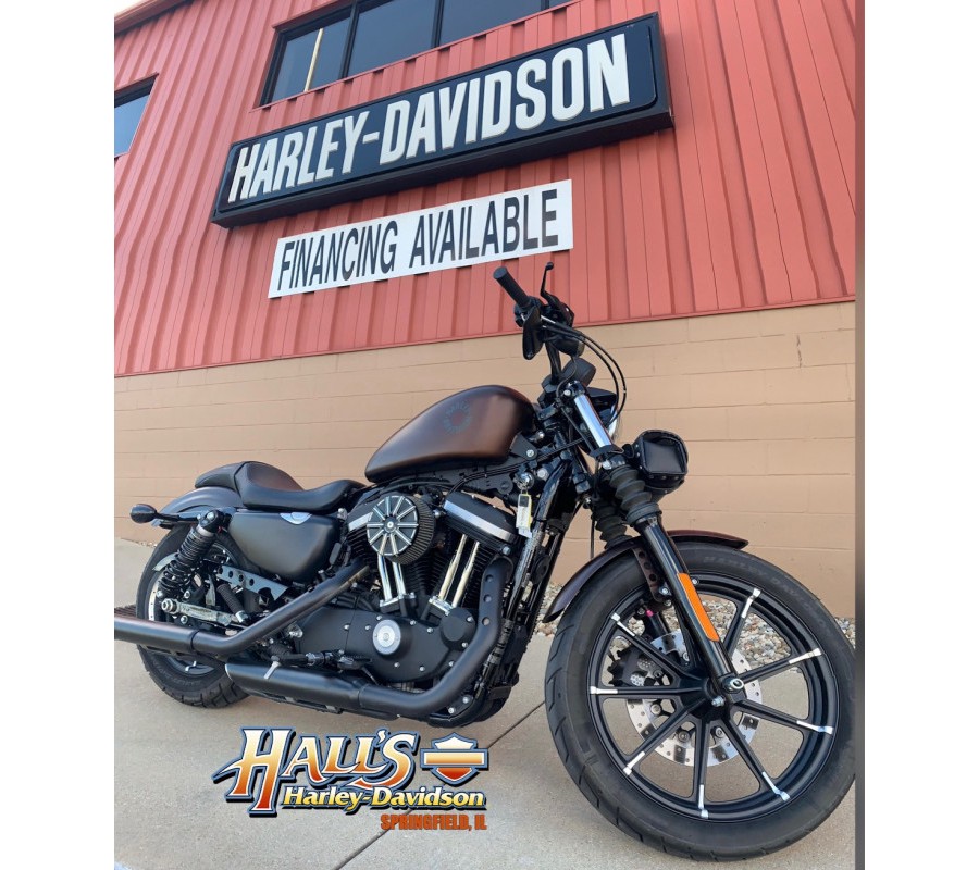 2019 Harley-Davidson® Iron 883™ Rawhide Denim