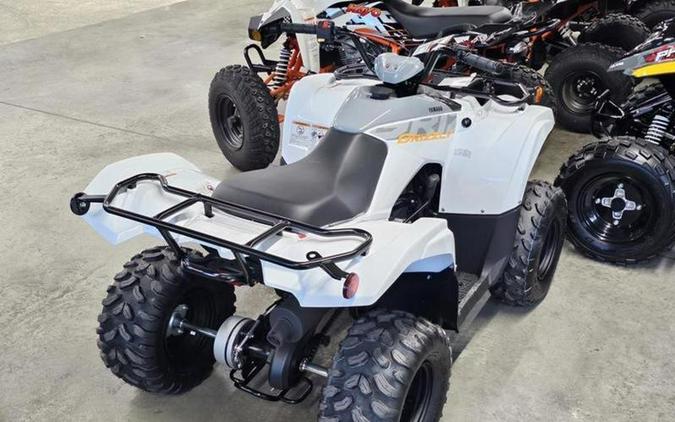 2024 Yamaha Grizzly 90