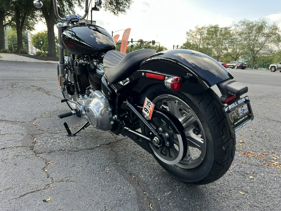 2024 FXST Softail Standard