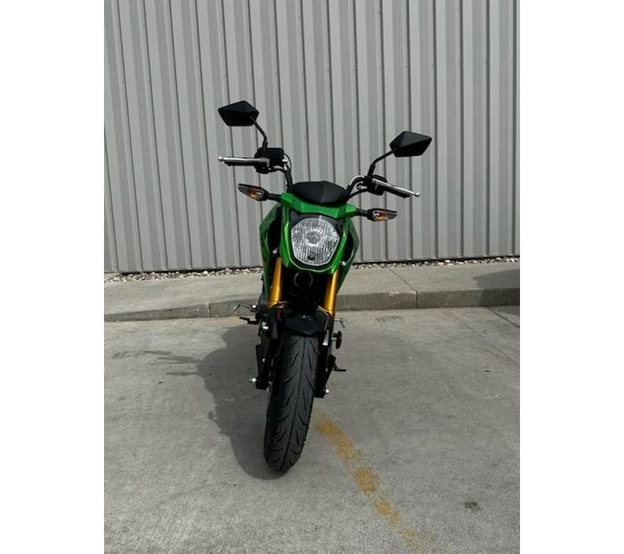 2024 Kawasaki Z125 Pro