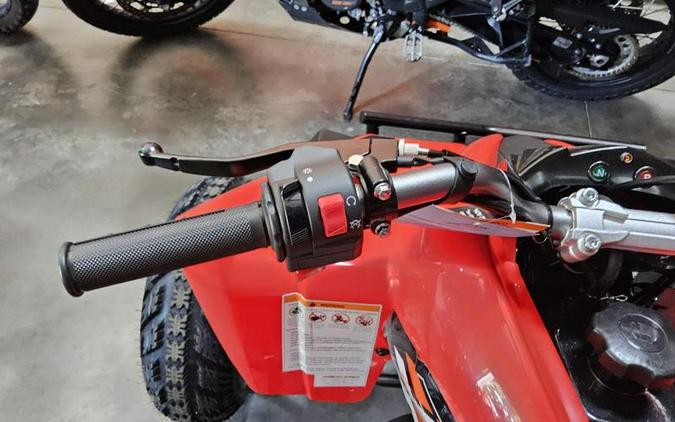 2026 Kayo Storm 300 EFI