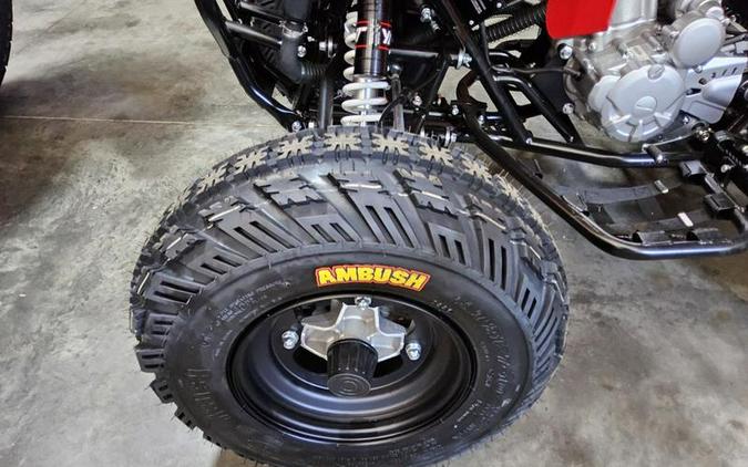 2026 Kayo Storm 300 EFI