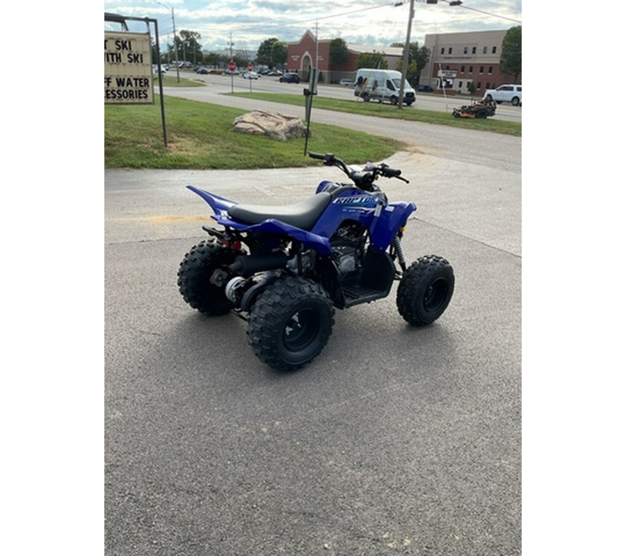 2026 Yamaha Raptor 110