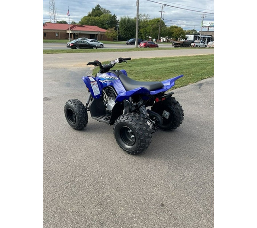 2026 Yamaha Raptor 110