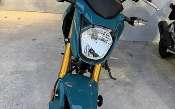 2021 Kawasaki Z125 PRO