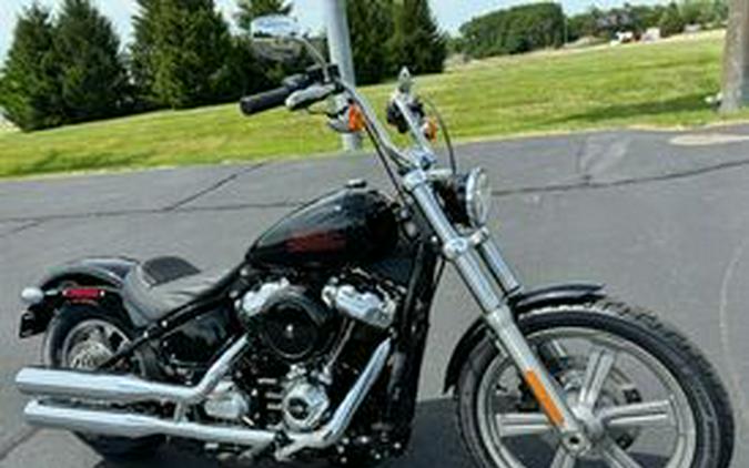 FXST 2024 Softail Standard