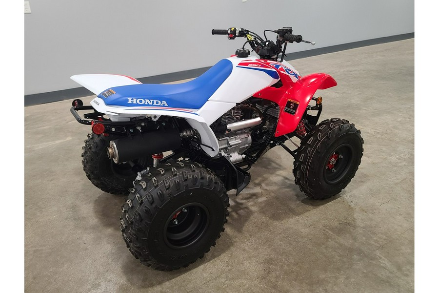 2026 Honda TRX250X