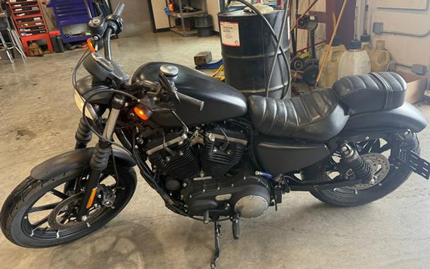 2019 Harley-Davidson Sportster Iron 883 Iron 883 - Color Option