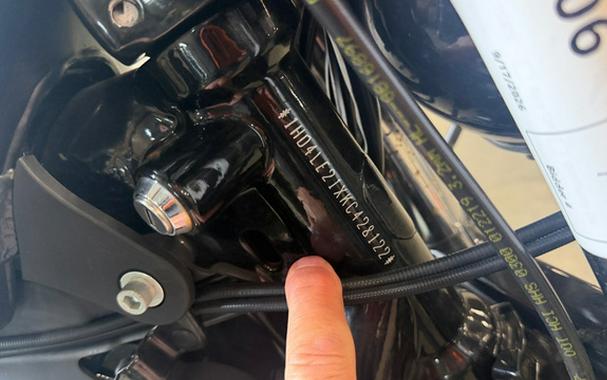 2019 Harley-Davidson Sportster Iron 883 Iron 883 - Color Option