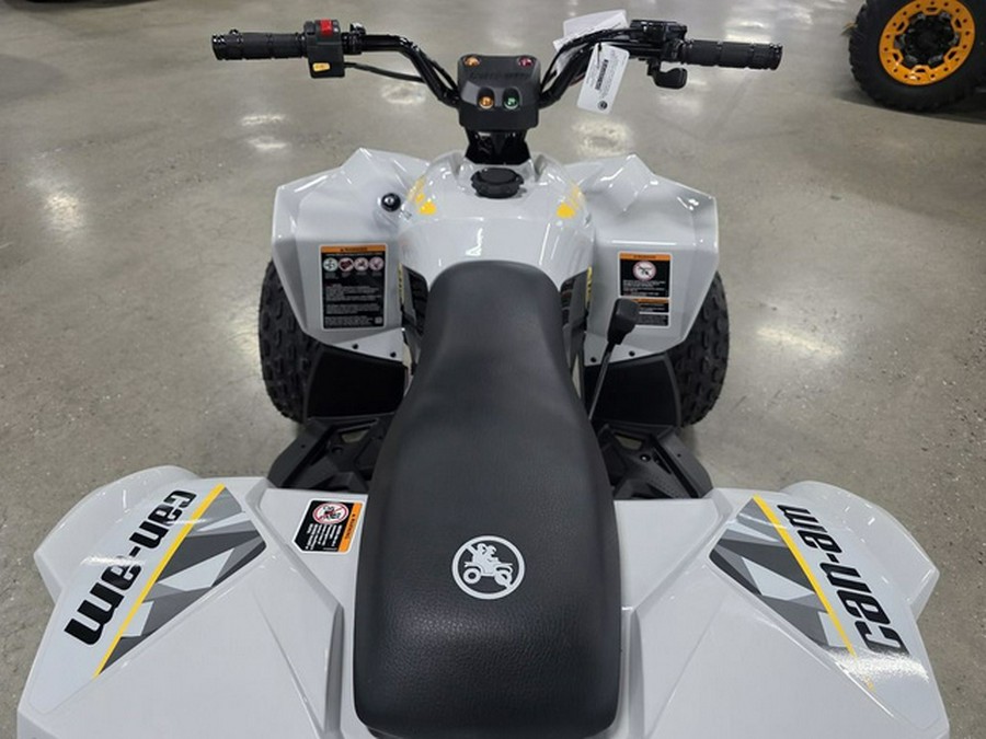 2026 Can-Am Renegade 110 EFI