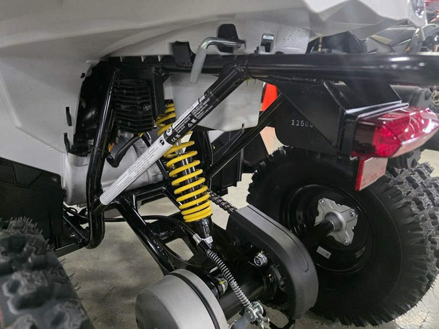2026 Can-Am Renegade 110 EFI