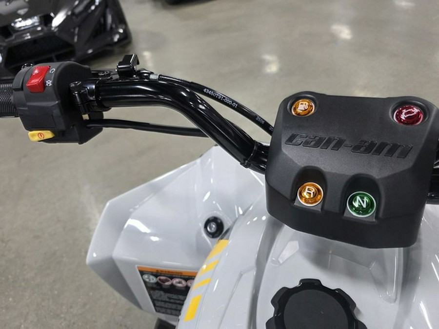 2026 Can-Am Renegade 110 EFI