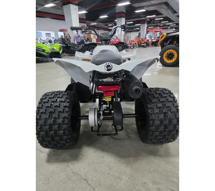 2026 Can-Am Renegade 110 EFI