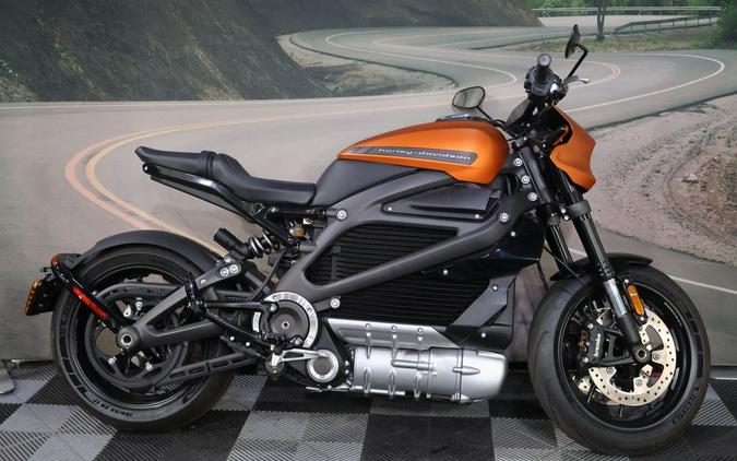 2020 Harley-Davidson® ELW - LiveWire™