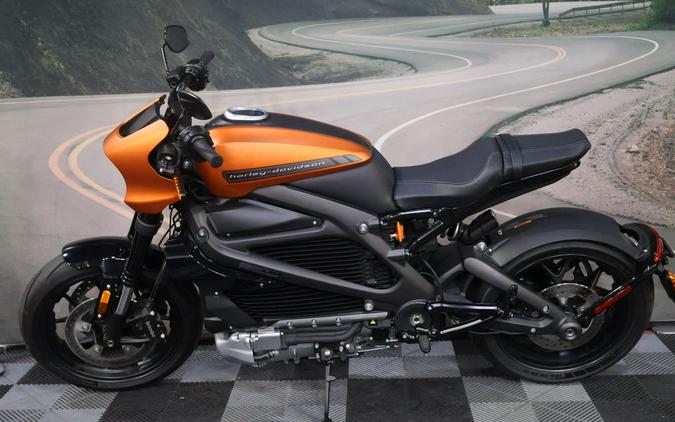 2020 Harley-Davidson® ELW - LiveWire™