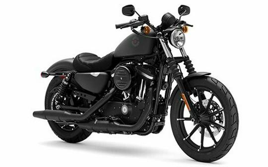 2022 Harley-Davidson Iron 883 White Sand Pearl