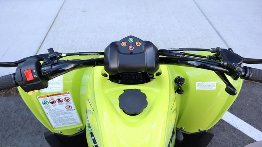 2026 Yamaha Raptor 110