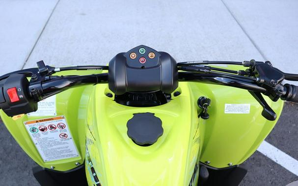 2026 Yamaha Raptor 110
