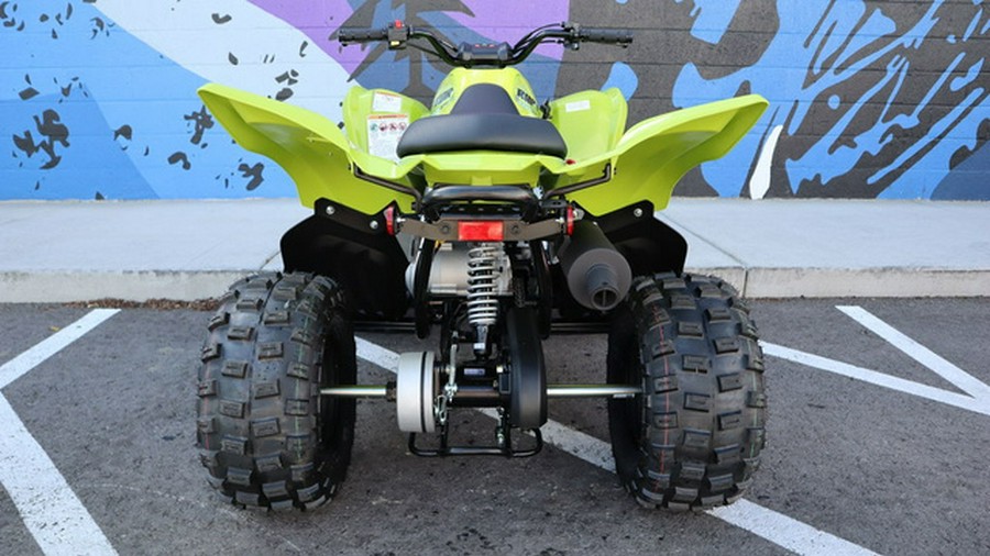 2026 Yamaha Raptor 110