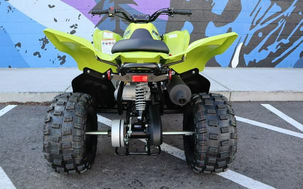 2026 Yamaha Raptor 110