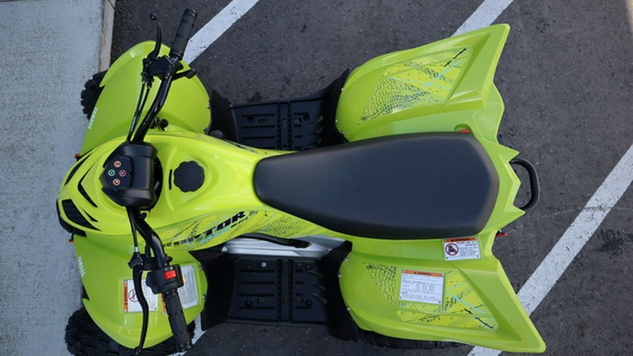 2026 Yamaha Raptor 110