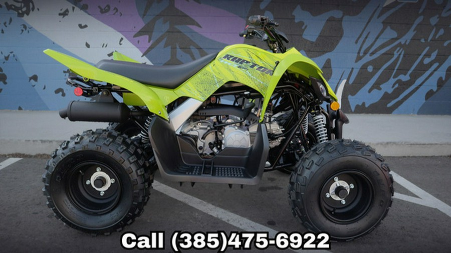 2026 Yamaha Raptor 110