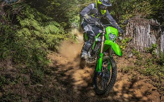 2024 Kawasaki KLX 300