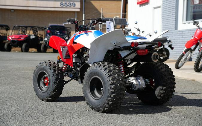 2025 Honda TRX 250X