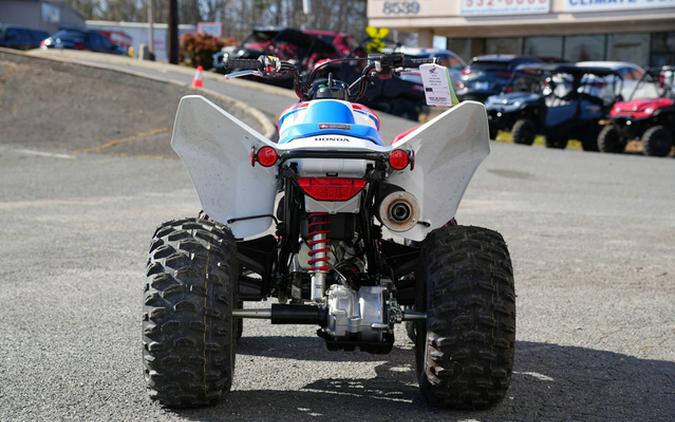 2025 Honda TRX 250X