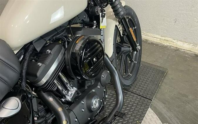 2022 Harley-Davidson Iron 883 White Sand Pearl