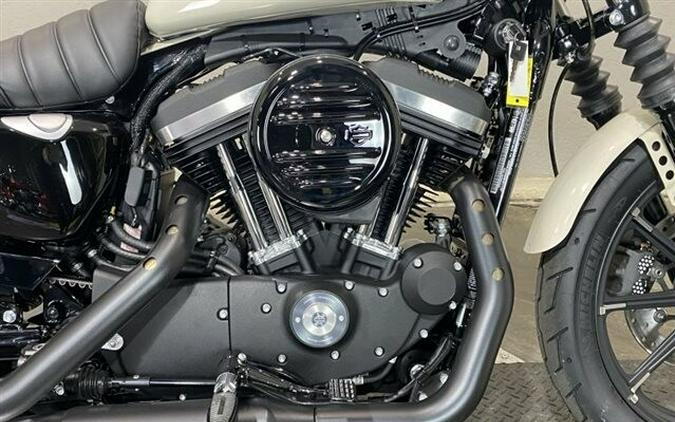 2022 Harley-Davidson Iron 883 White Sand Pearl