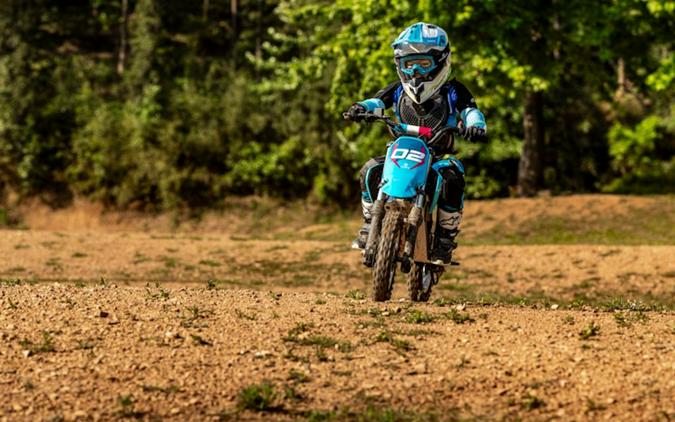 2026 CFMOTO CFX-2E