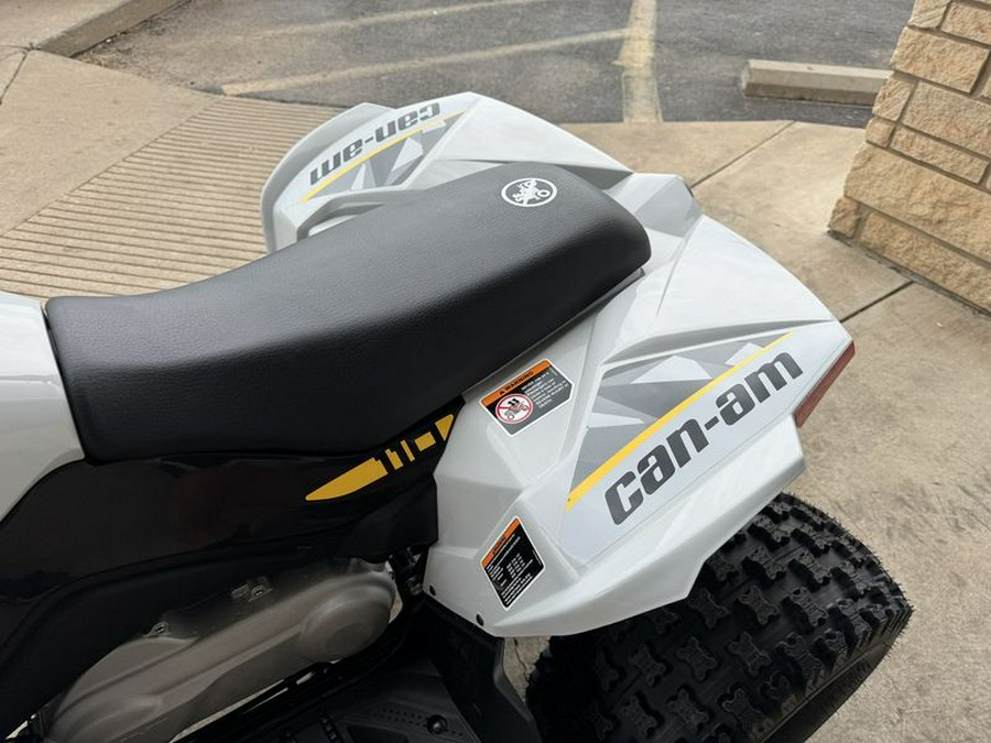 New 2024 CAN-AM RENEGADE 110 EFI CATALYST GRAY AND NEO YELLOW