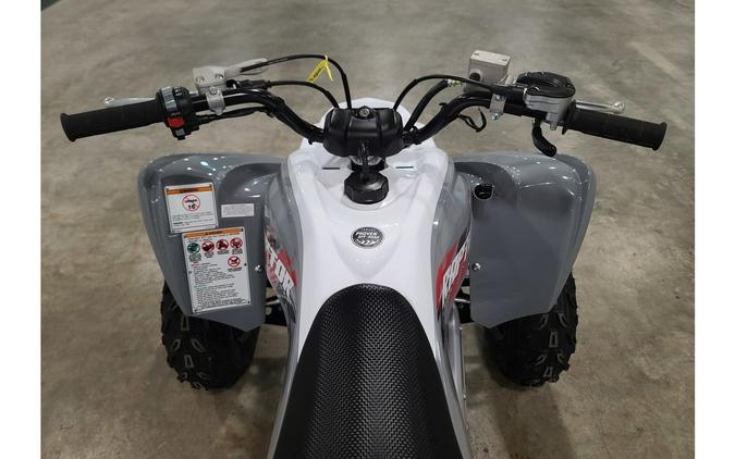 2026 Yamaha Raptor 700