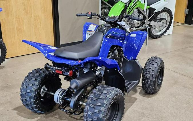 2024 Yamaha Raptor 110