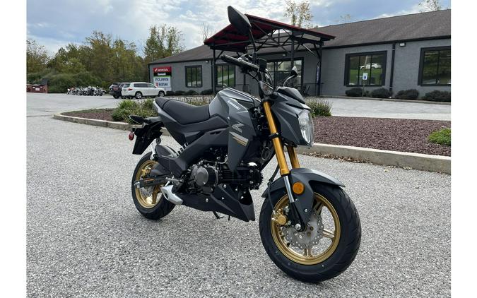 2024 Kawasaki Z125 Pro