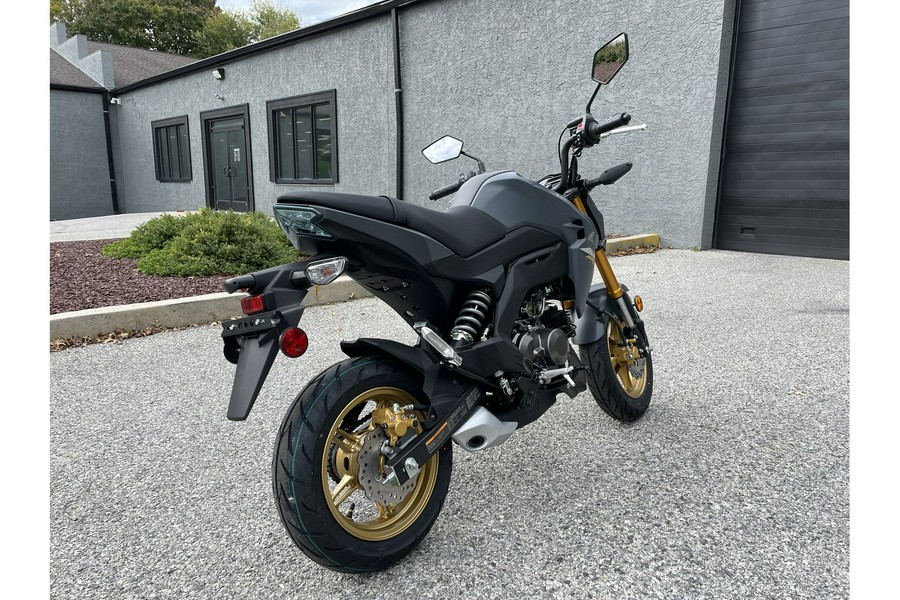 2024 Kawasaki Z125 Pro