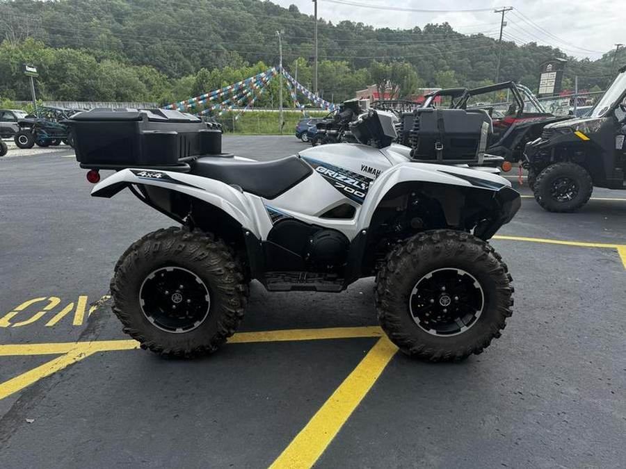 2020 Yamaha Grizzly EPS SE