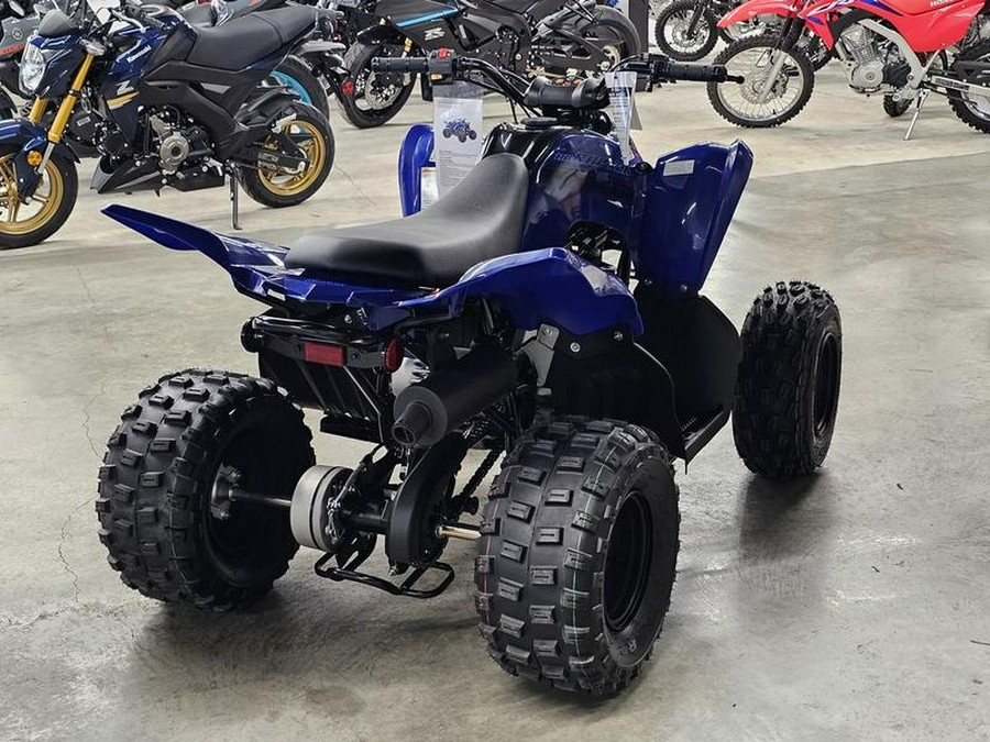 2024 Yamaha Raptor 110