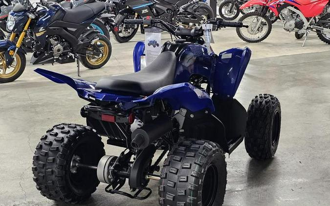 2024 Yamaha Raptor 110