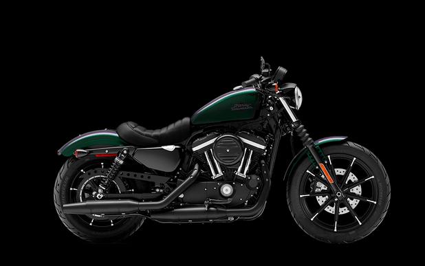2021 Harley-Davidson® Iron 883™ Snake Venom