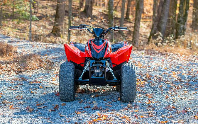 2024 Honda TRX90X