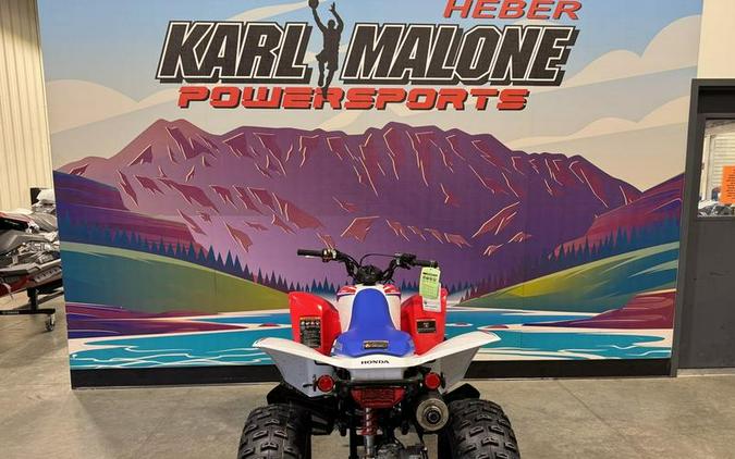 2026 Honda® TRX250X