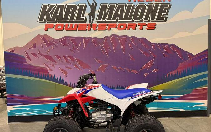 2026 Honda® TRX250X